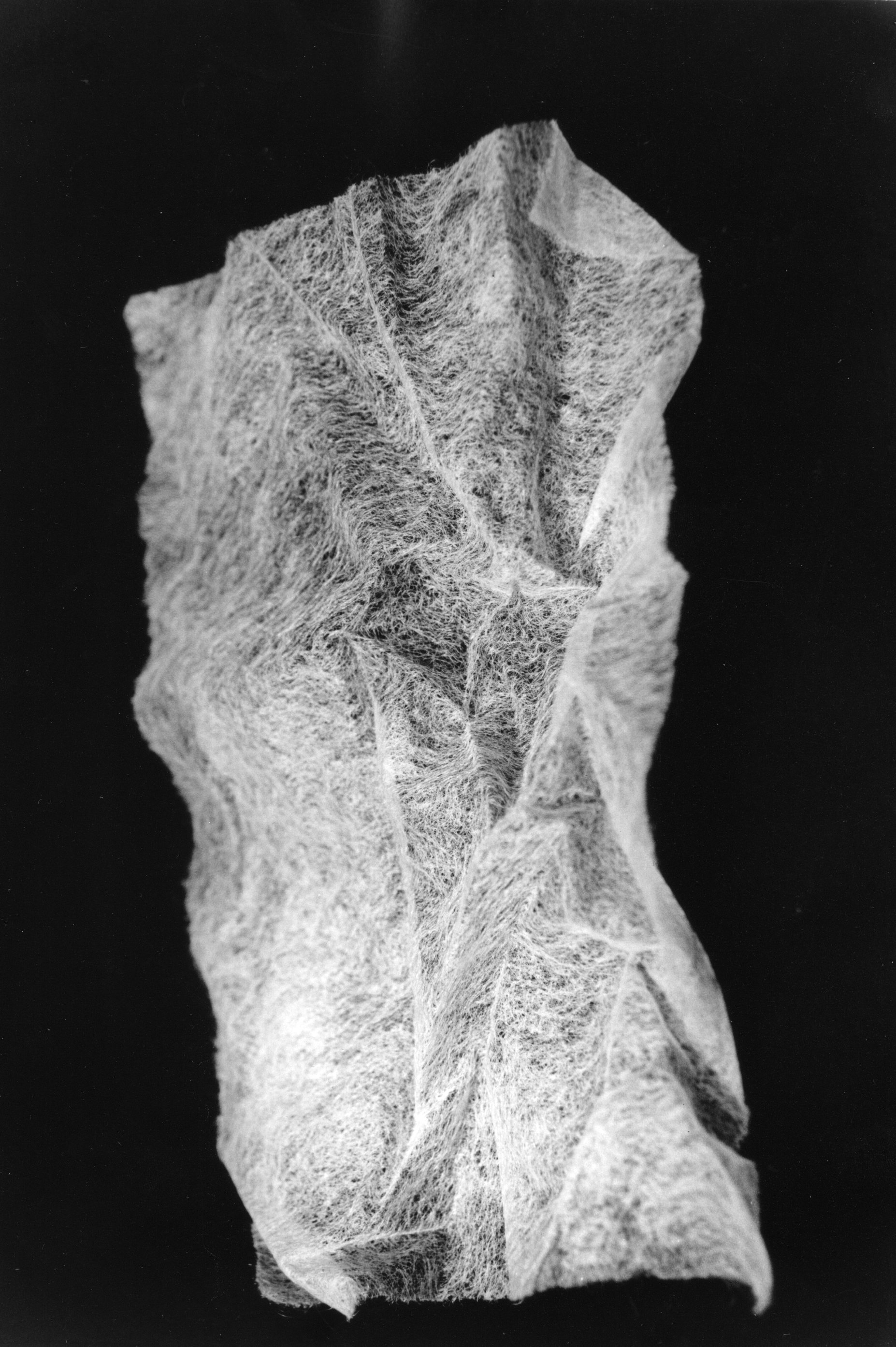 Dryer Lint