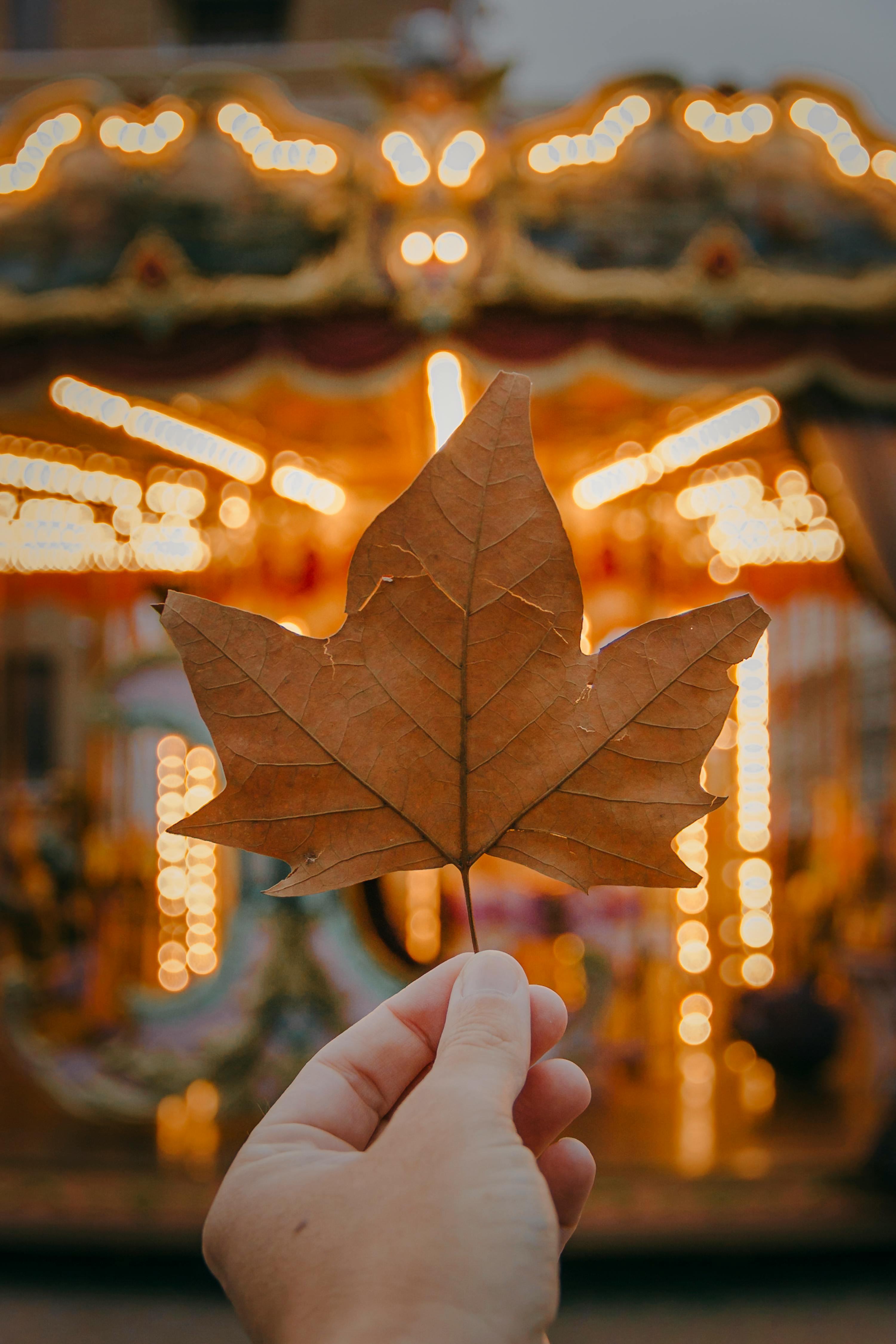 Fall Carnival