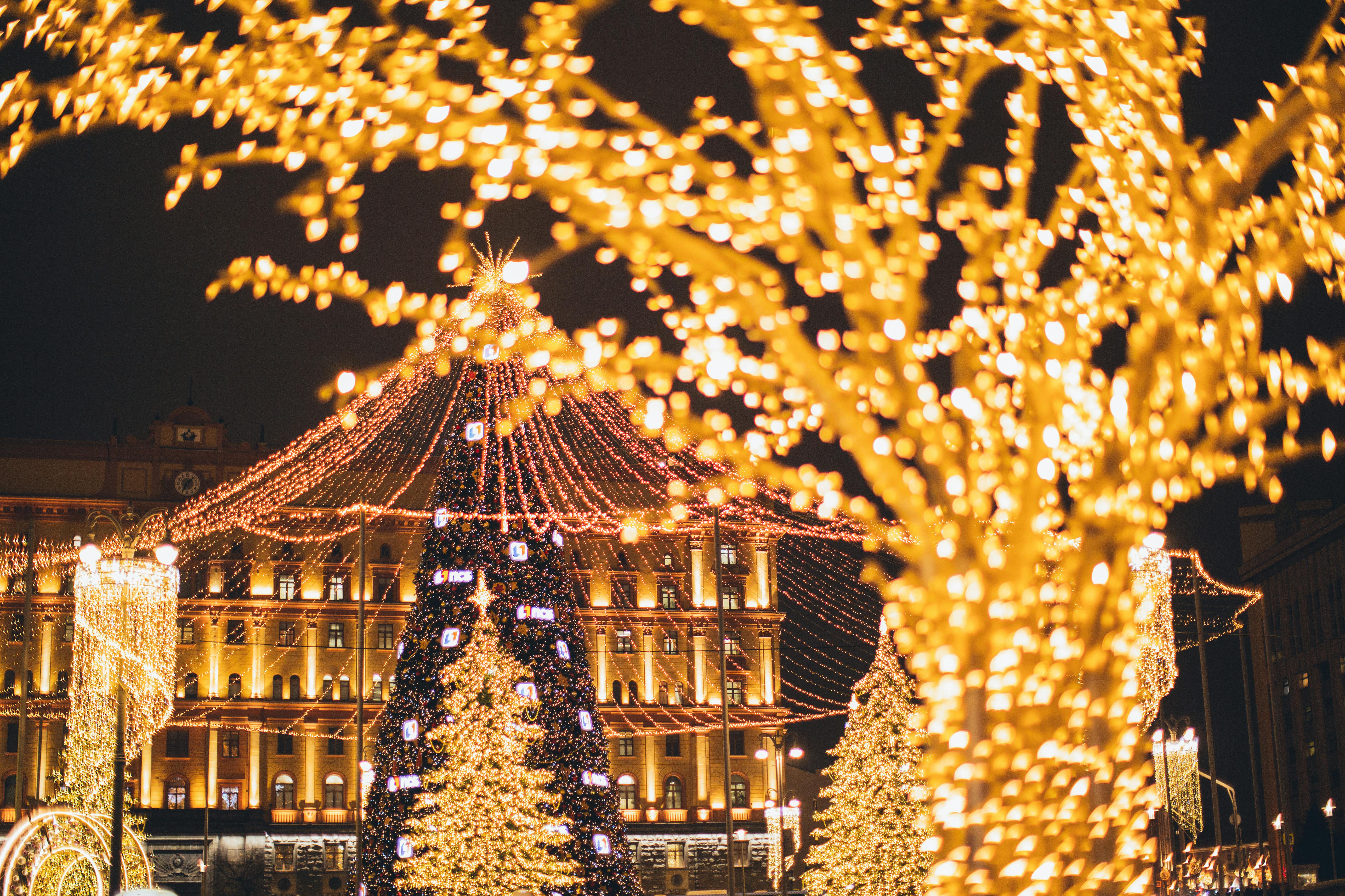 Christmas Traditions