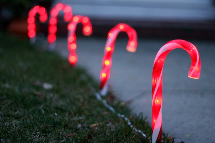 Candy Cane Lane