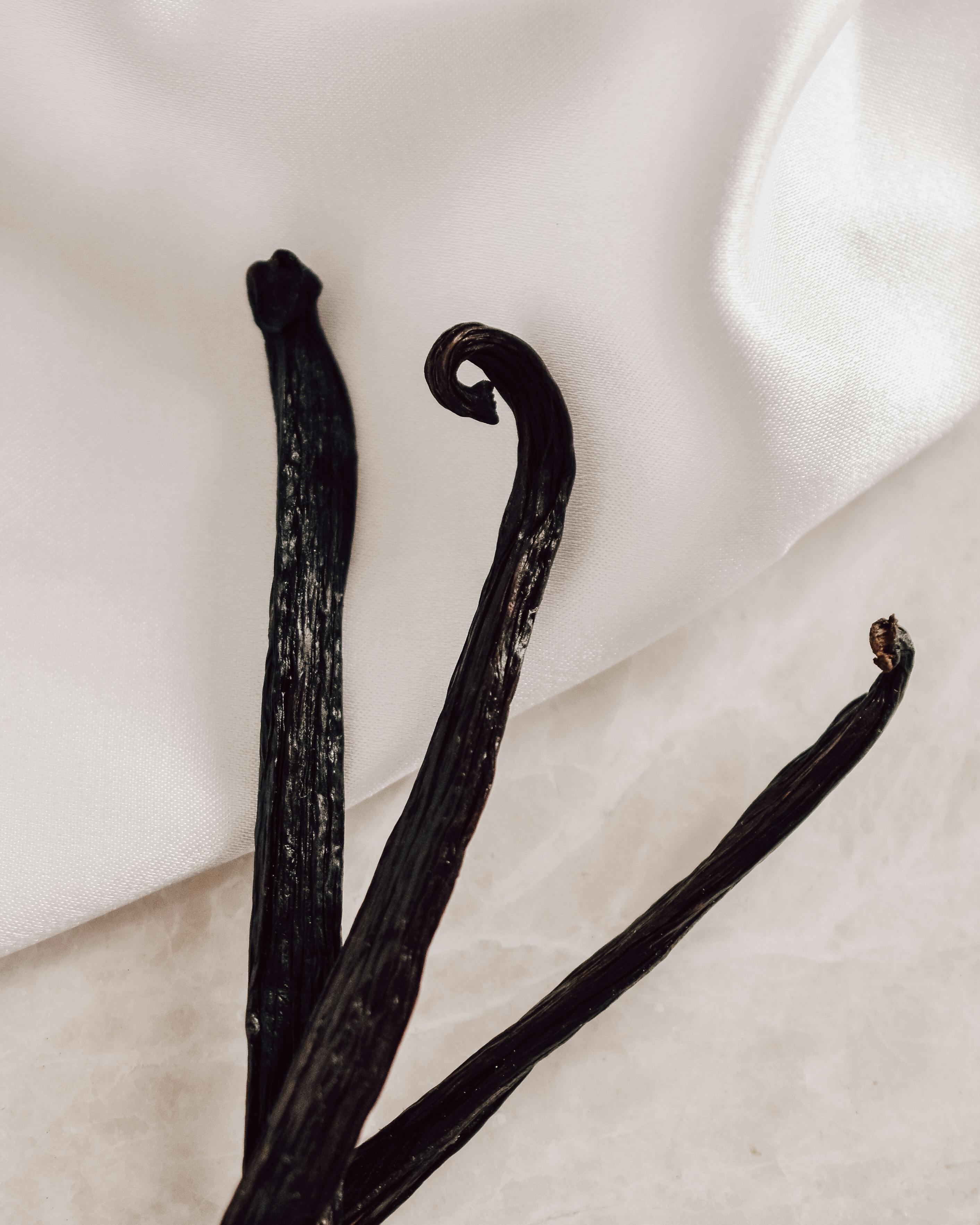 Vanilla Bean