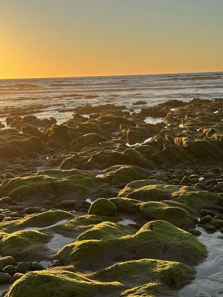 Custom Coastal Experiences – 7 Nights
