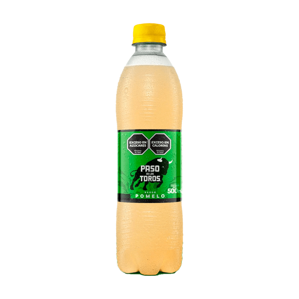 Gaseosa Paso de los Toros 500 ml