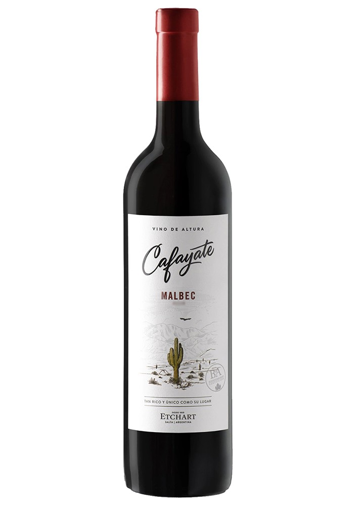 Vino Malbec Cafayate