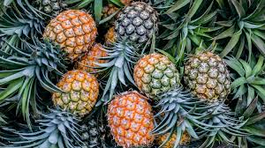 Fresh Pineapple