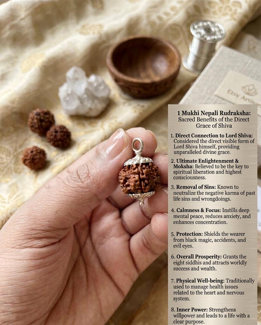 Authentic 1 Mukhi Nepali Undeveloped Rudraksha Silver Pendant | Lab Certified