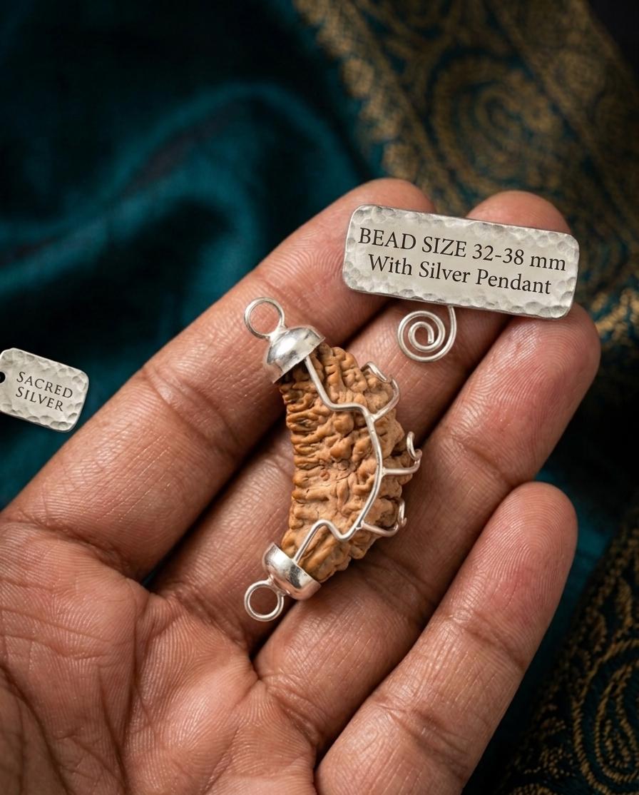 Original 1 Mukhi Kaju Shape Rudraksha Silver Pendant | Lab Certified