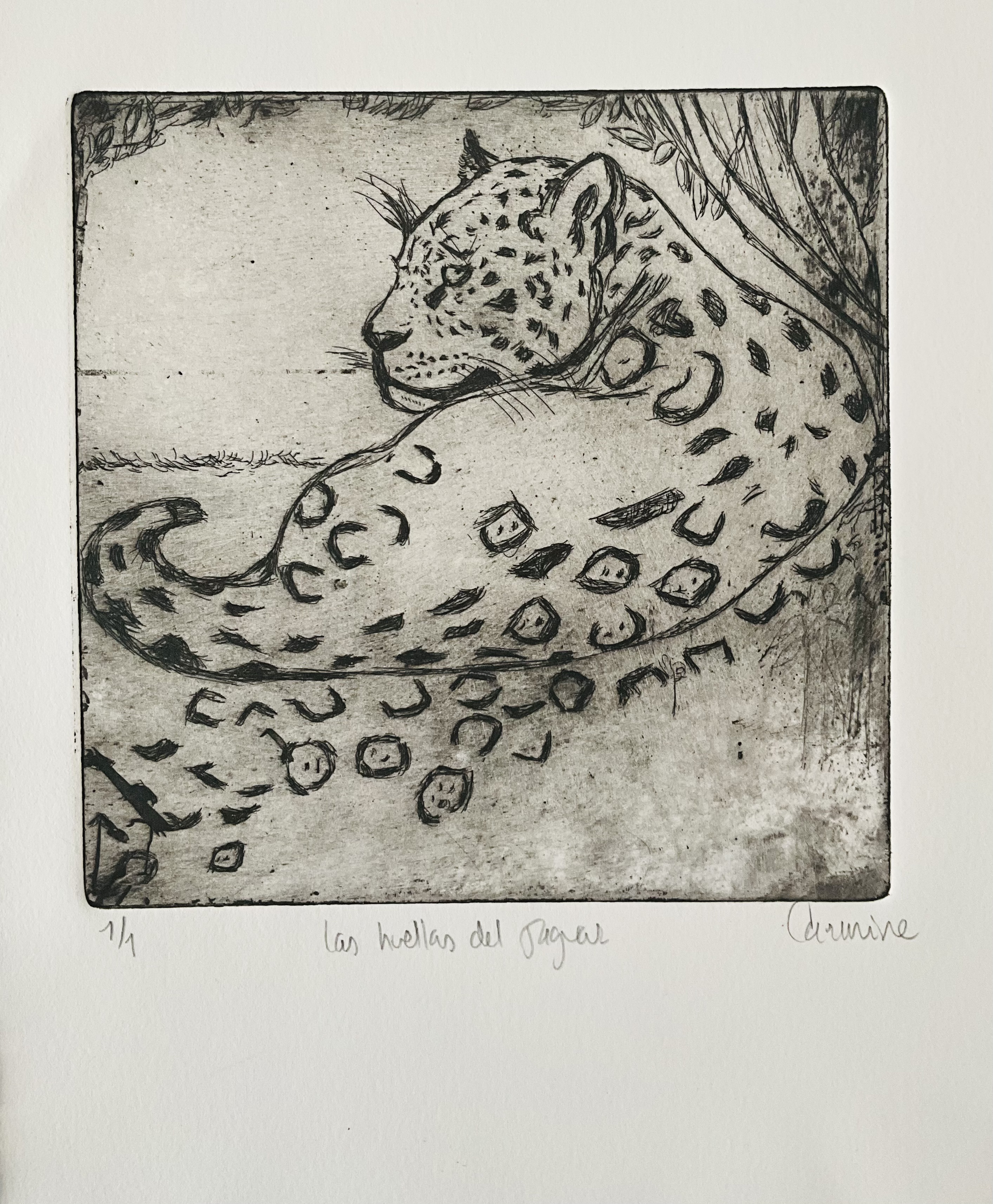 Gravure de jaguar
