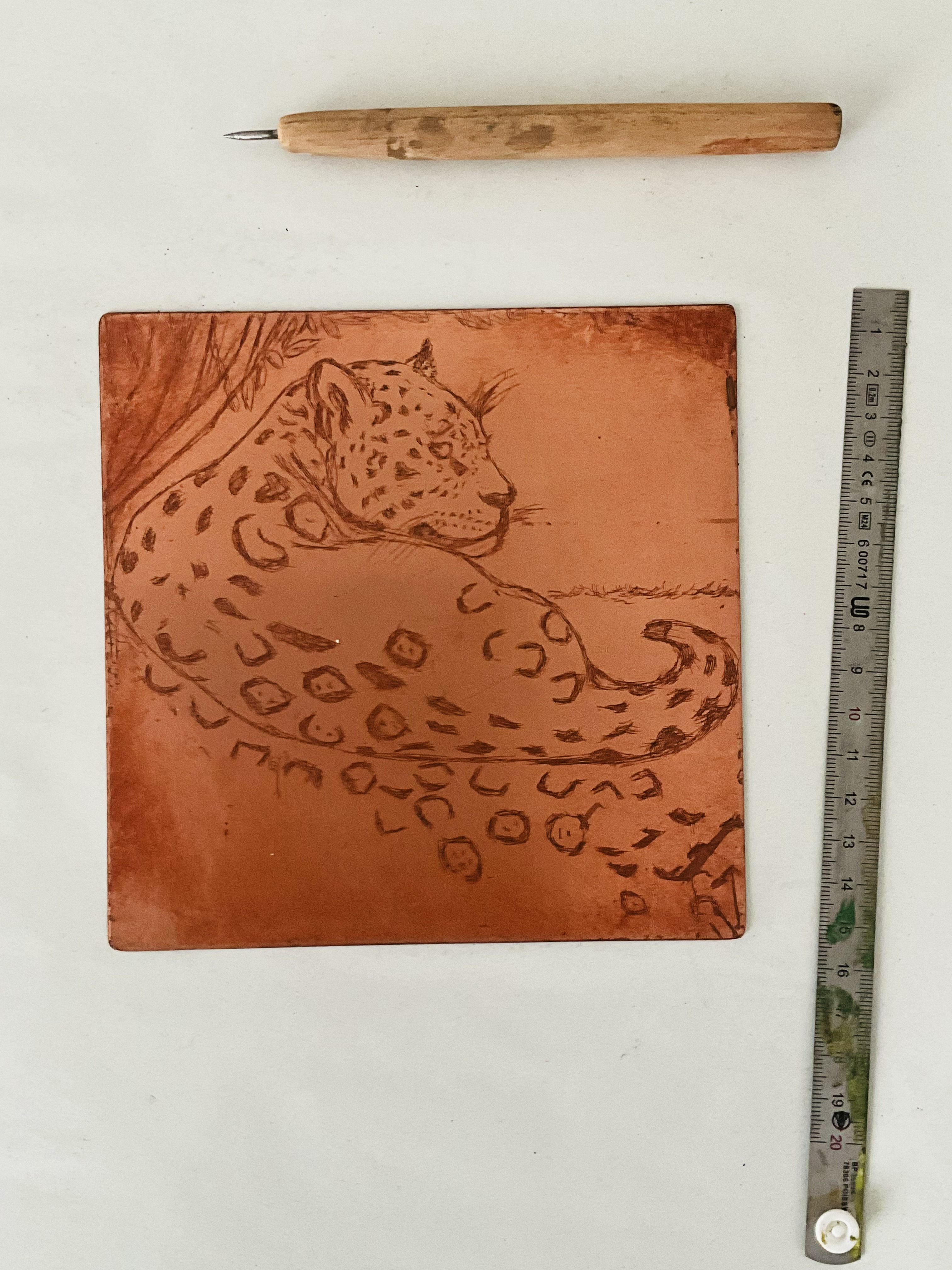 Gravure de jaguar