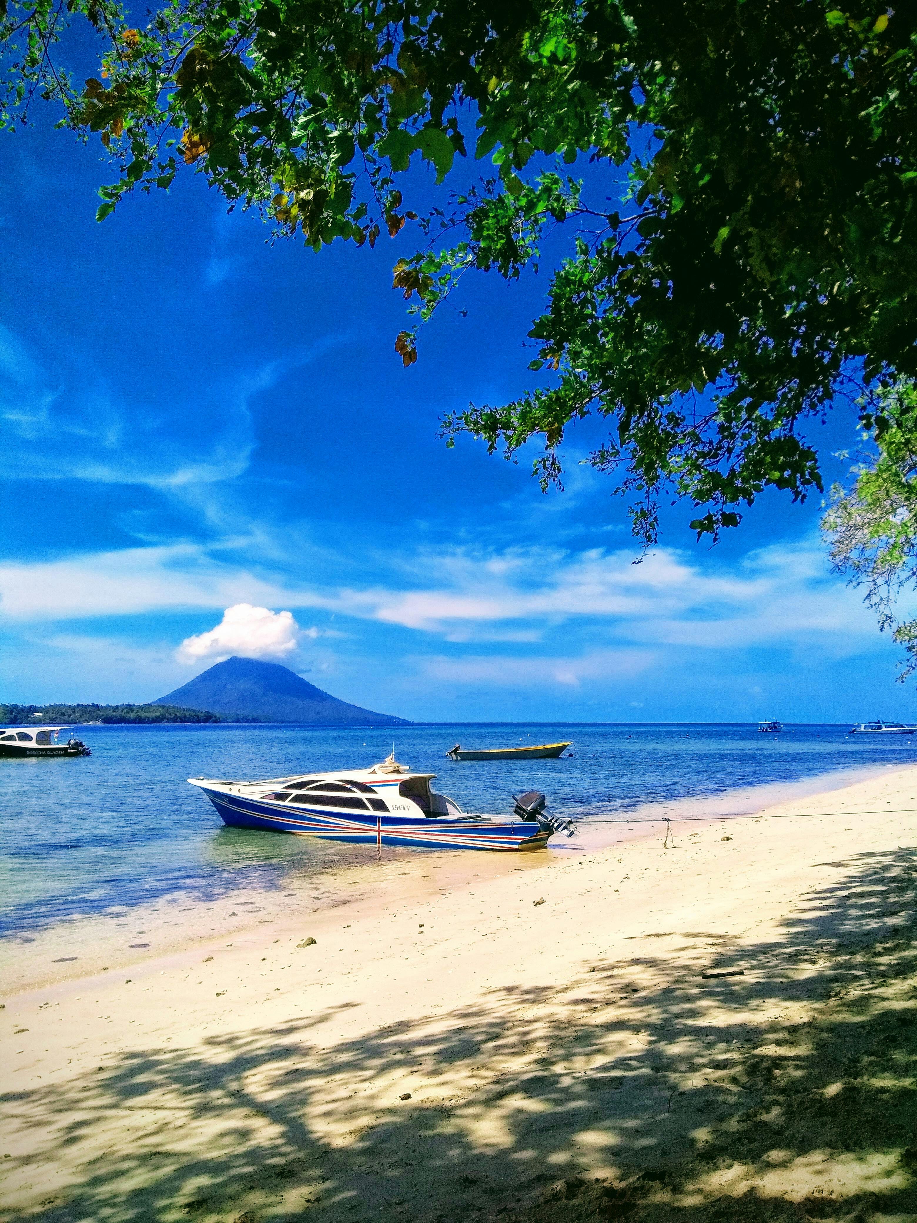 Diving in Bunaken Tour Package