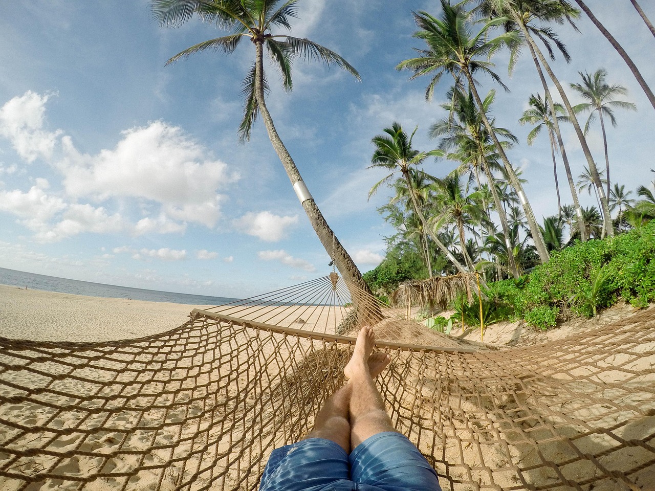 Comodo Island Tour Package