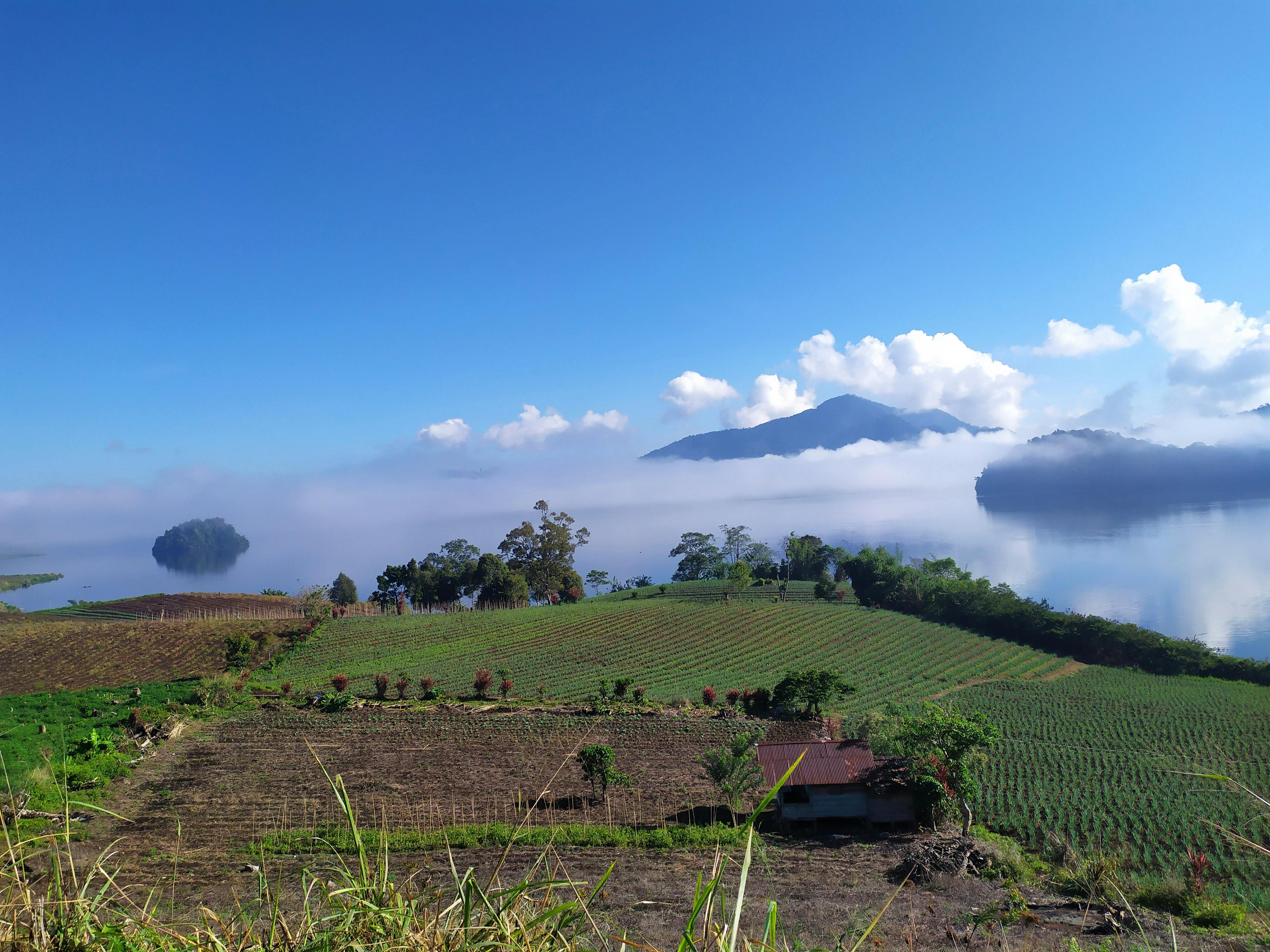 Diving in Bunaken Tour Package