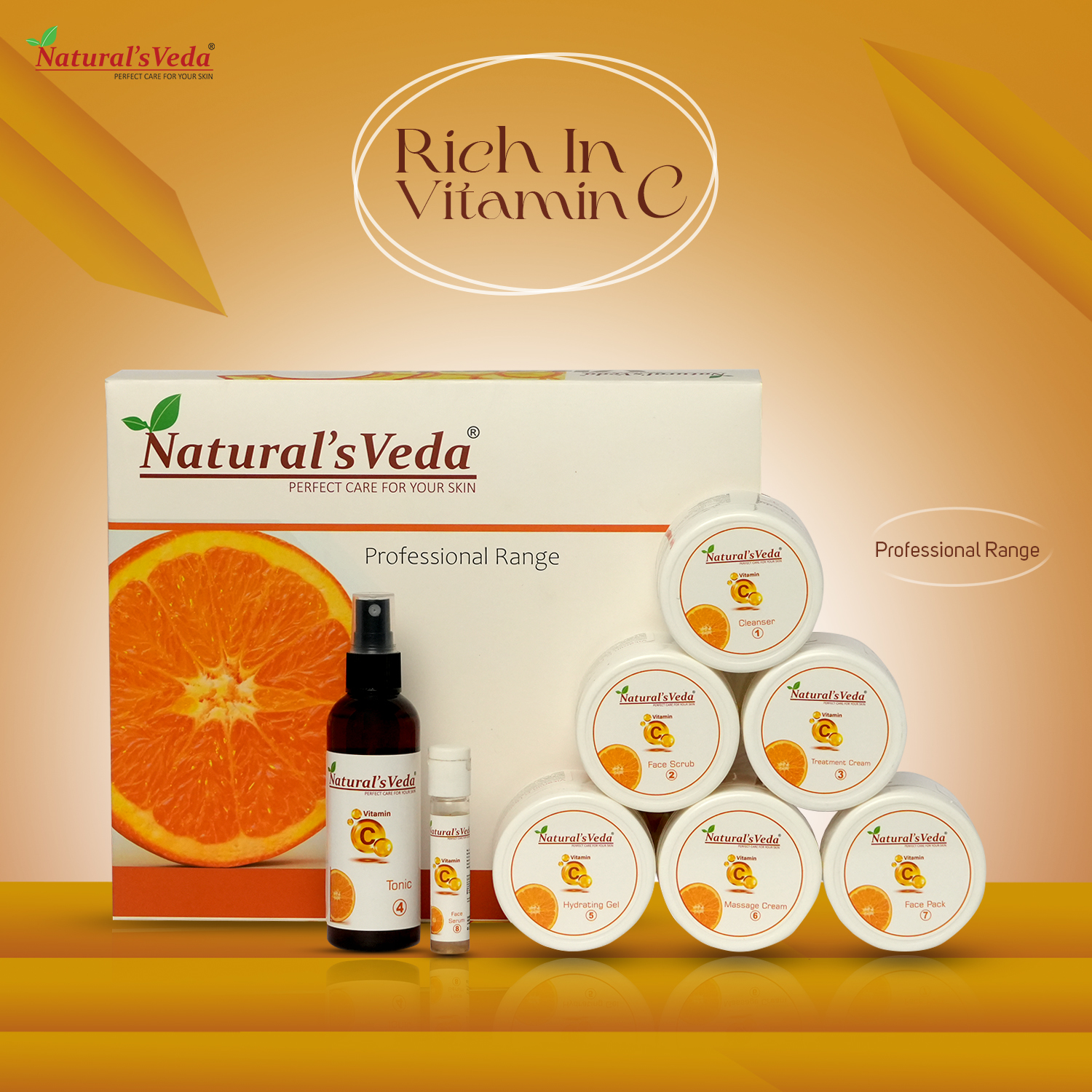 Vitamin C Professional Facial Kit