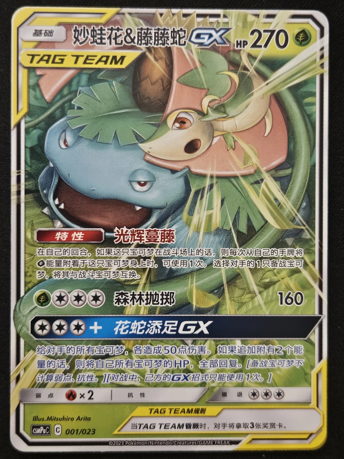 Venusaur & Snivy GX TAG TEAM #001 (Chino)