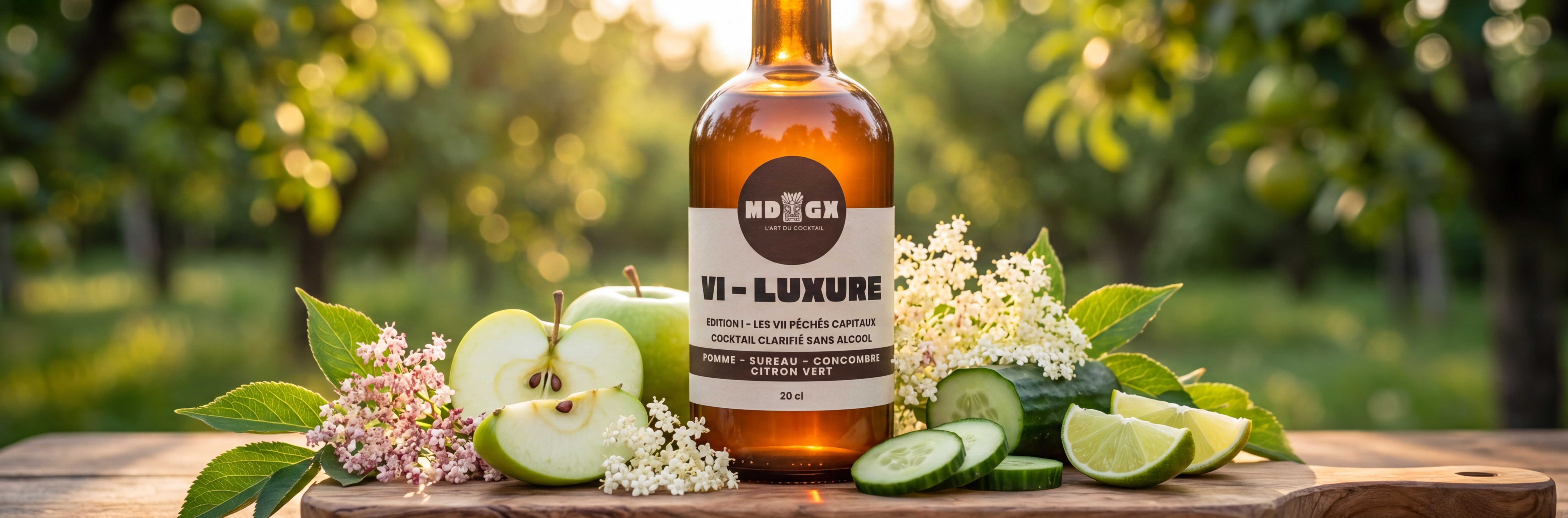 VI- Luxure 
