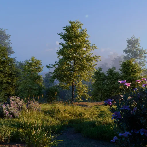 Nature Landscape