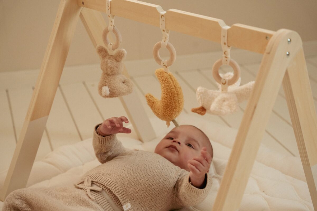 Little Dutch medinis  žaidimų stovas "Newborn Naturals" 