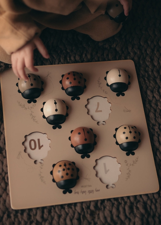 Mrs. Ertha medinė dėlionė „My Little Ladybugs“