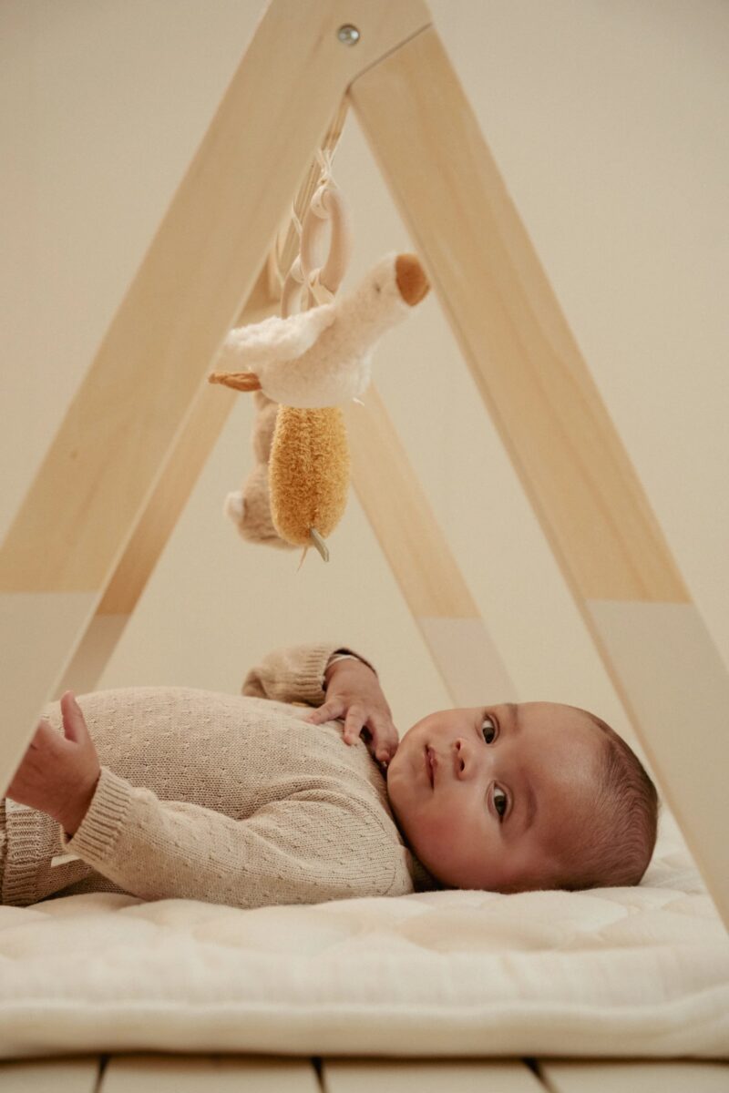 Little Dutch medinis  žaidimų stovas "Newborn Naturals" 