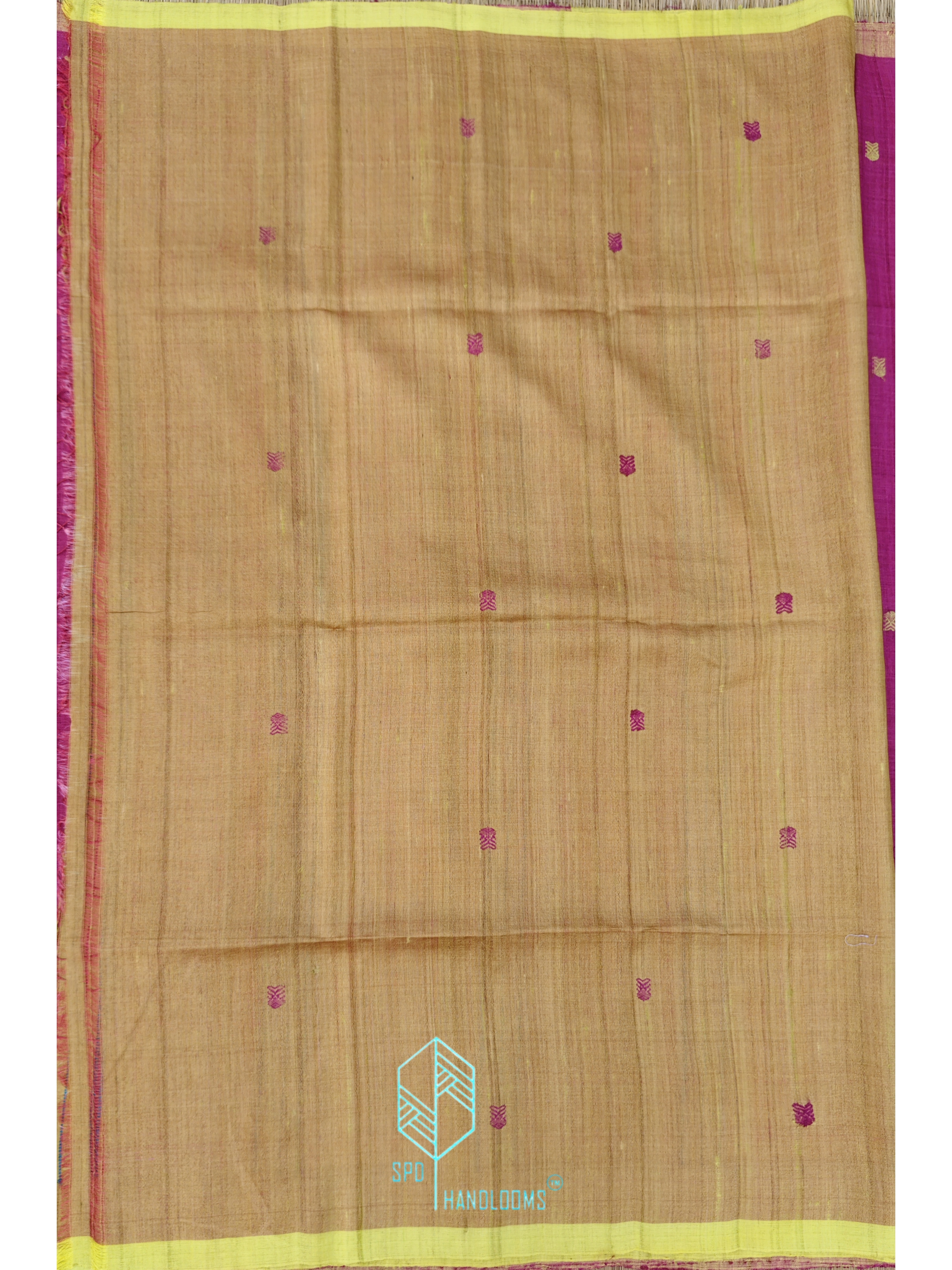 Handwoven Gopalpur Tussar Silk Saree