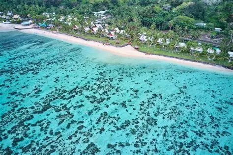 Discover Coral Coast Tour