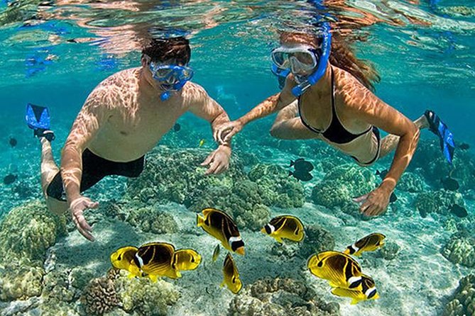Snorkeling / Handline Fishing Tour (Package 3)