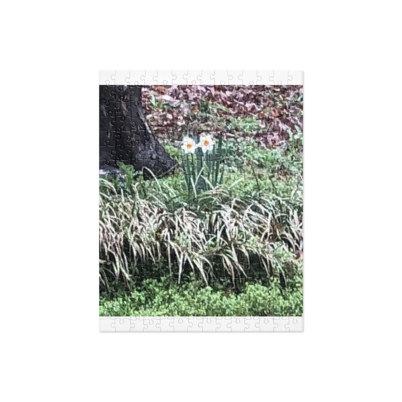 Jigsaw puzzle / TWINS