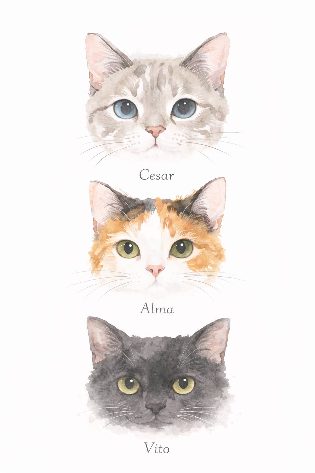 Retratos de mascotas