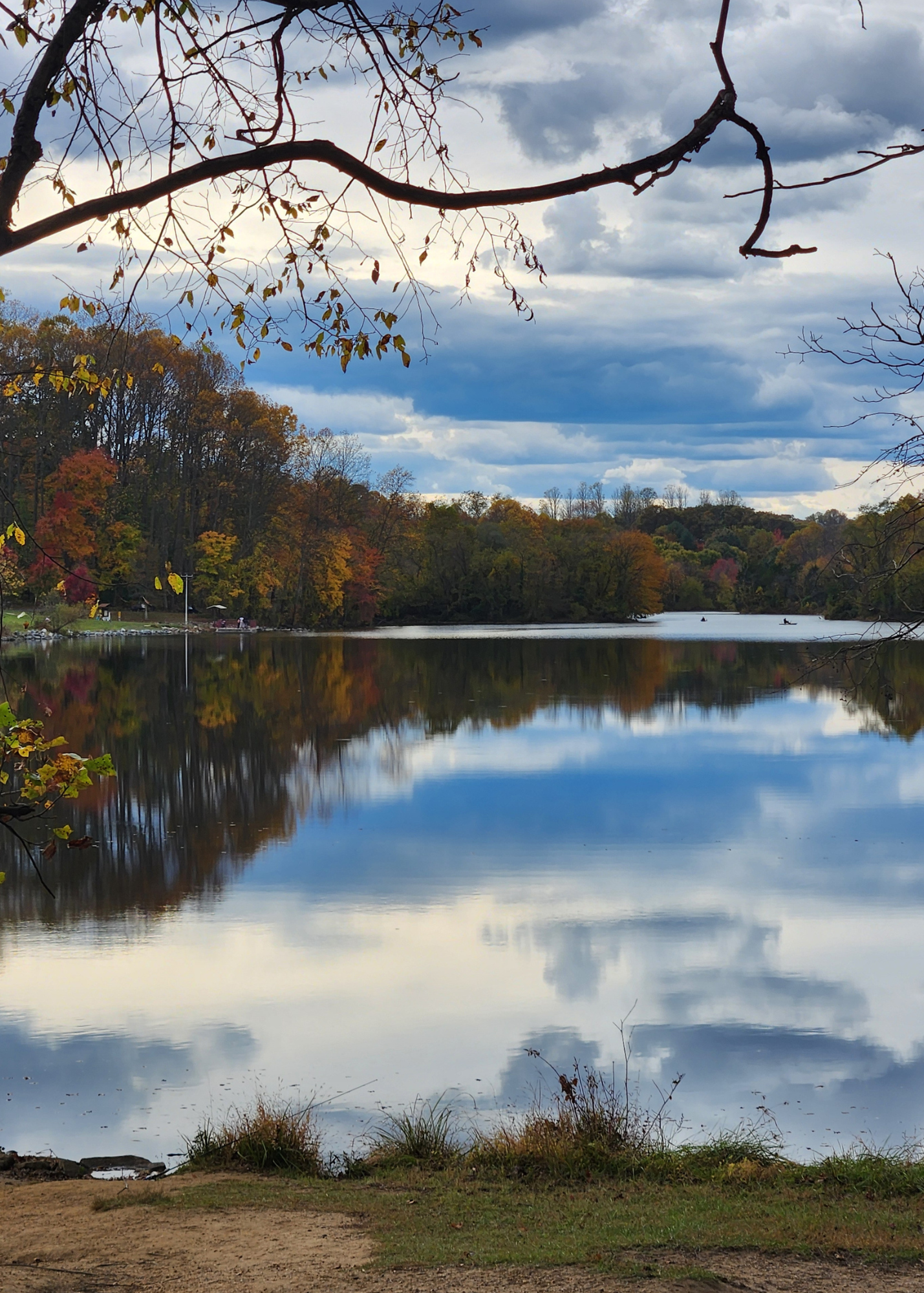 Autumn Lake Reflection Digital Art