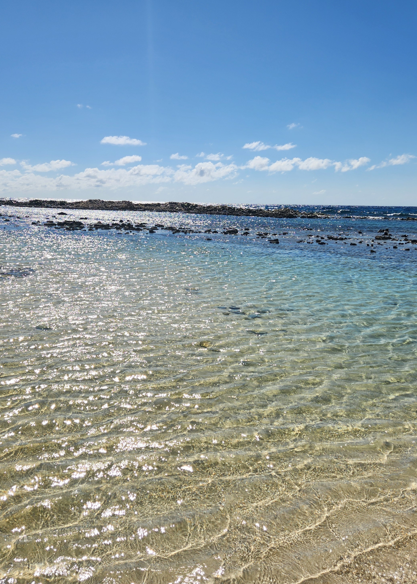Tropical Shoreline Digital Photo