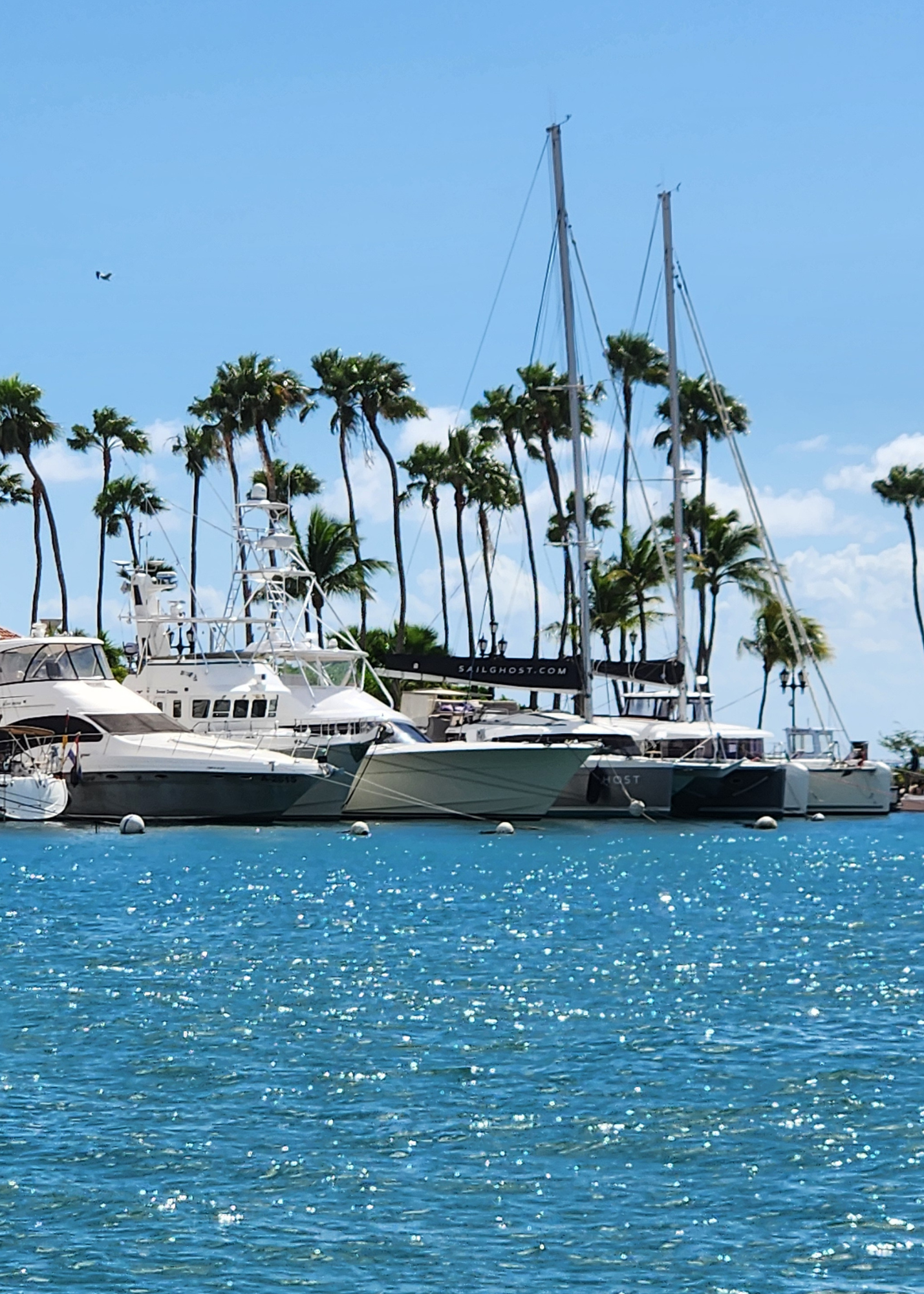 Tropical Marina Digital Photo