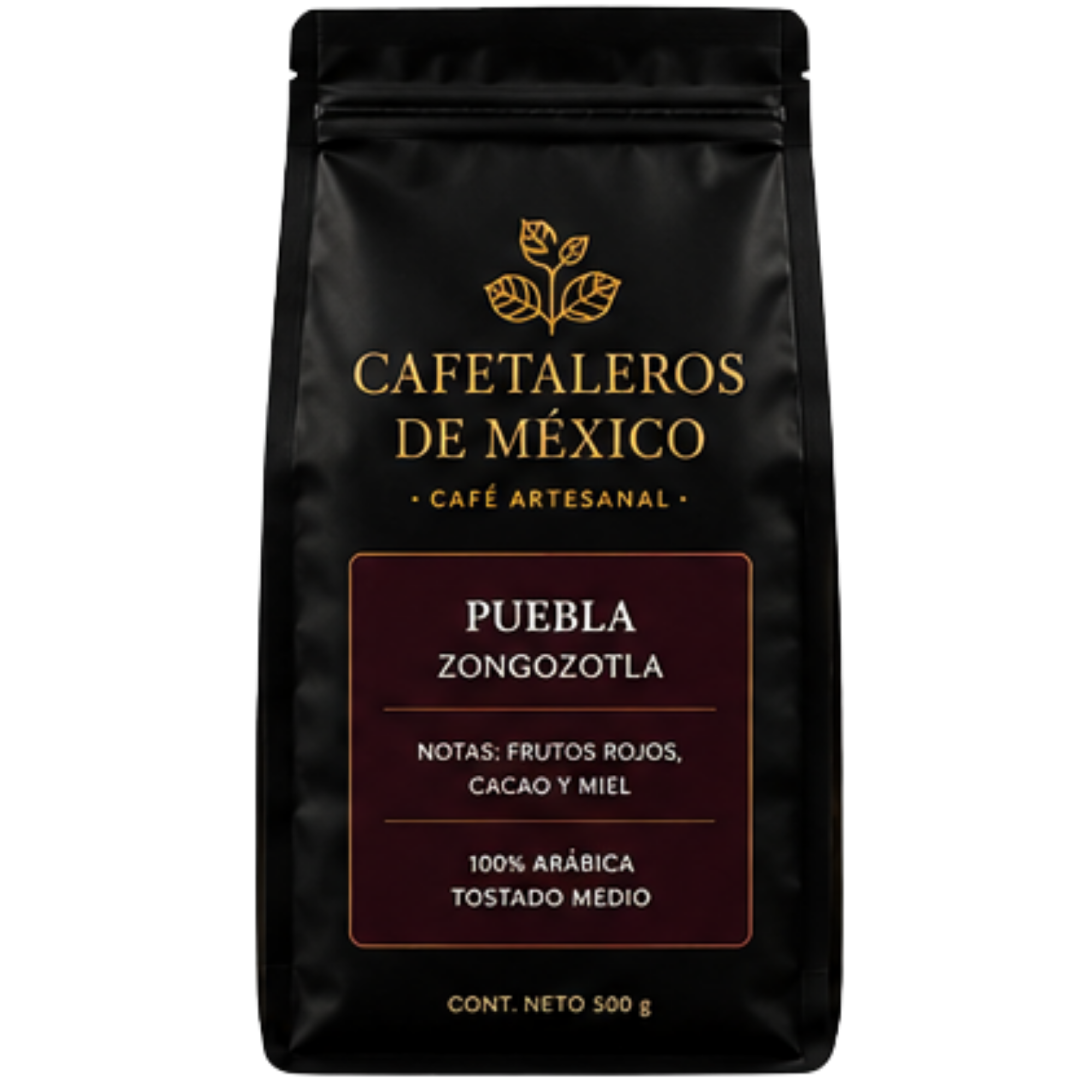 Café Artesanal Puebla Zongozotla