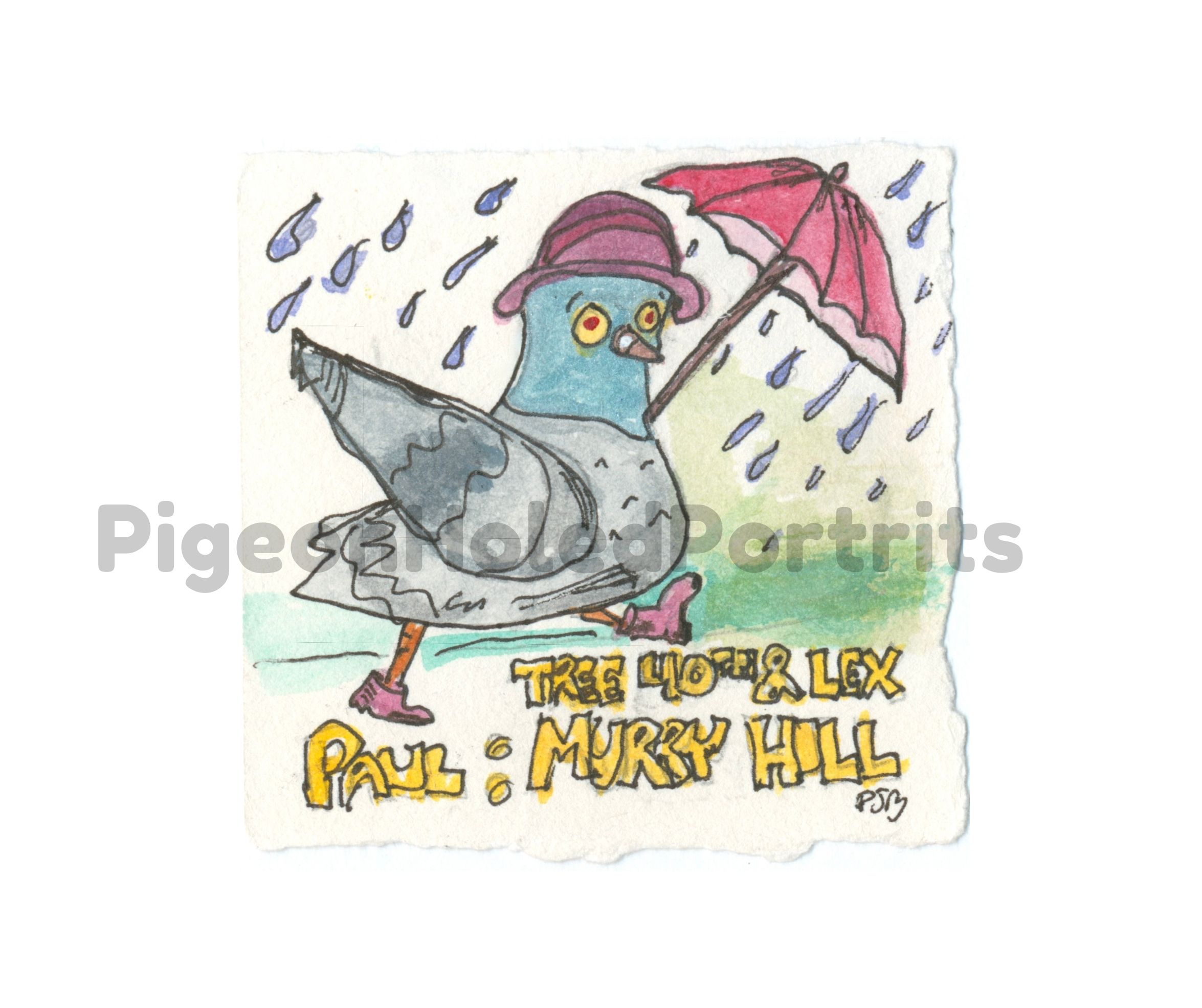 Pigeon Portrait Art Print