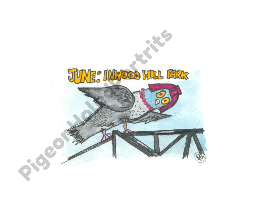 June: Inwood Hill Park Art Print
