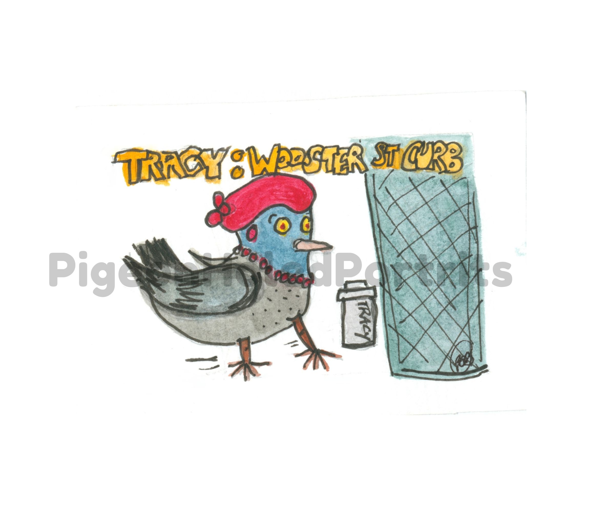 Tracy Webster Street Pigeon Art Print