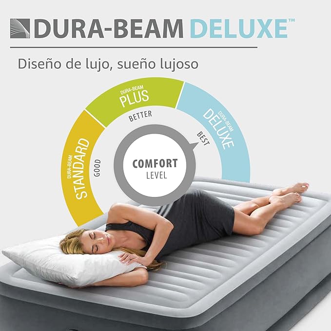Intex Raised Air Mattress