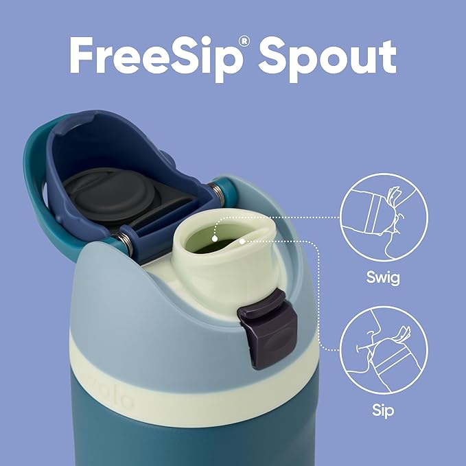 Insulated Stainless Steel Water Bottle