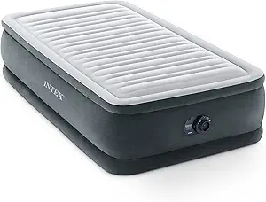 Intex Raised Air Mattress