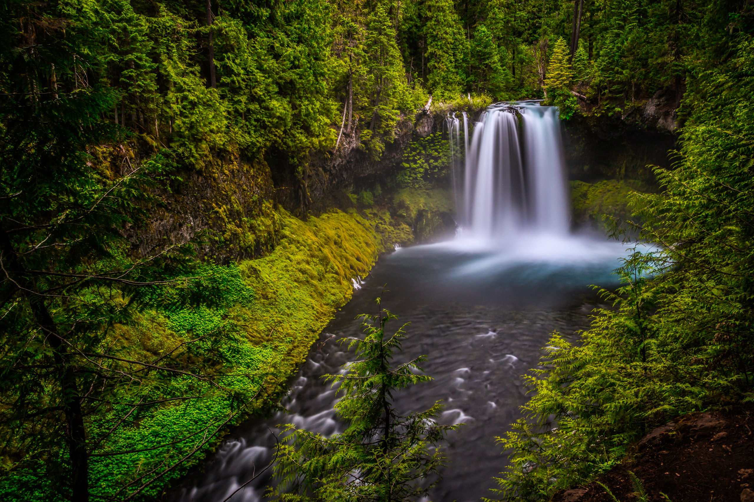 Majestic Forest Waterfall Print