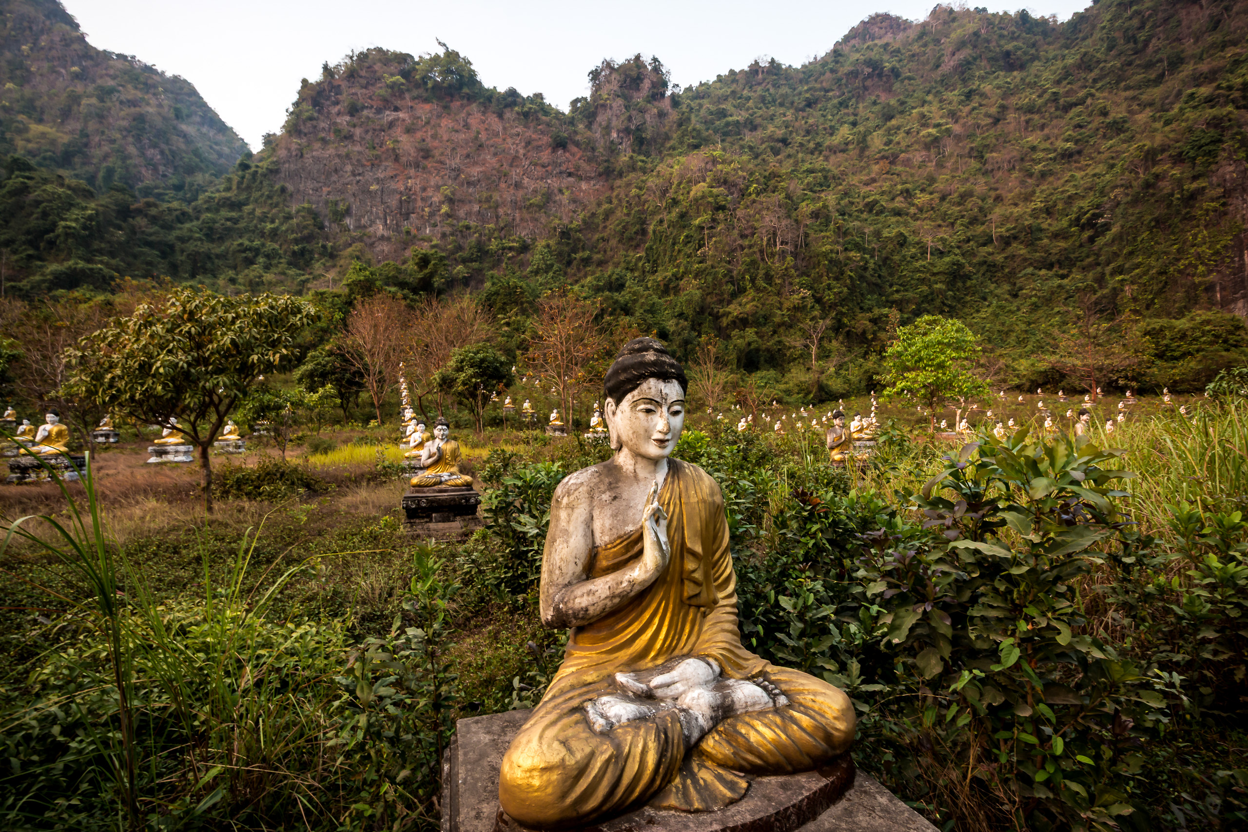 Serene Buddha Garden Statue Photo Print