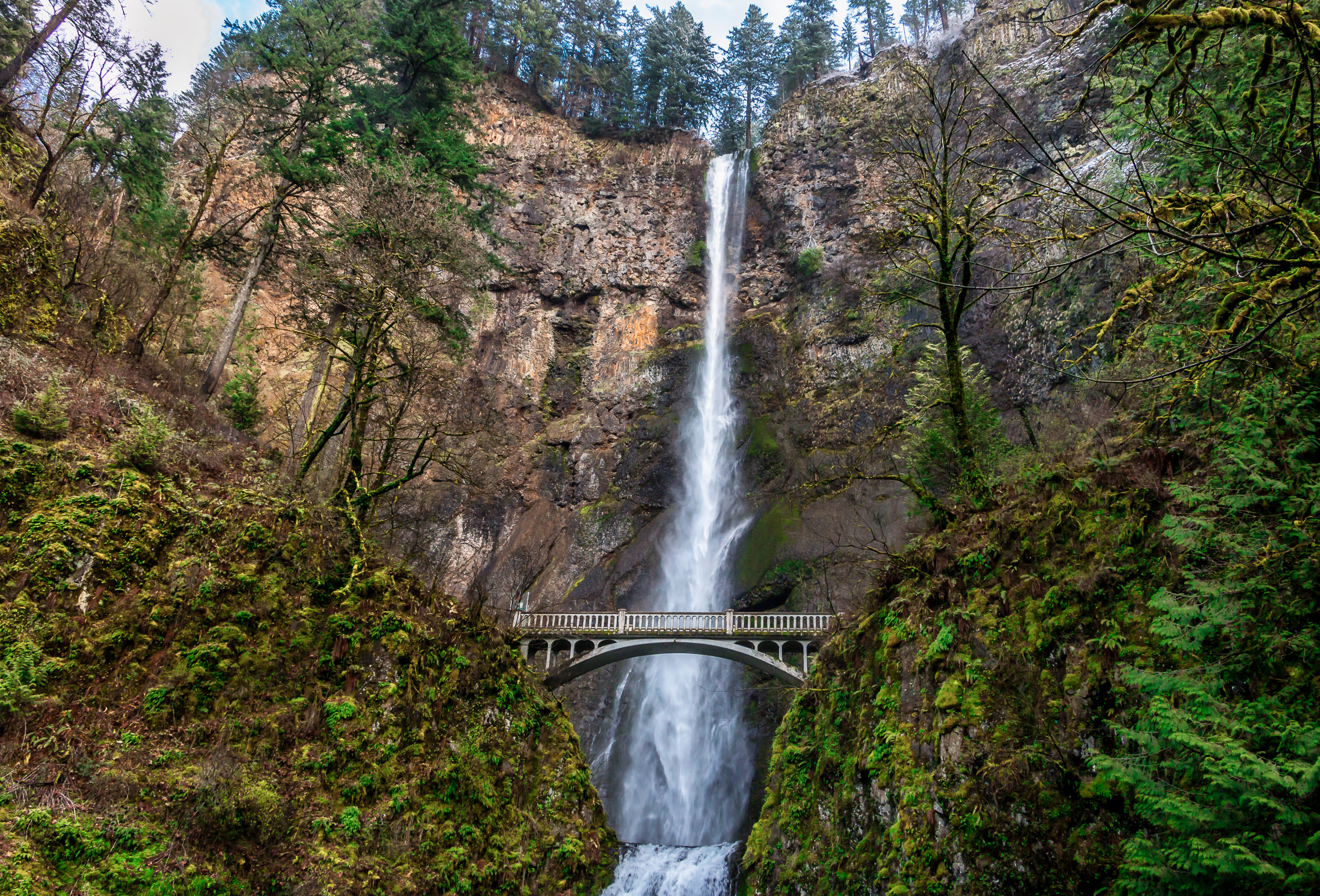 Waterfall Scenic Wall Art Print