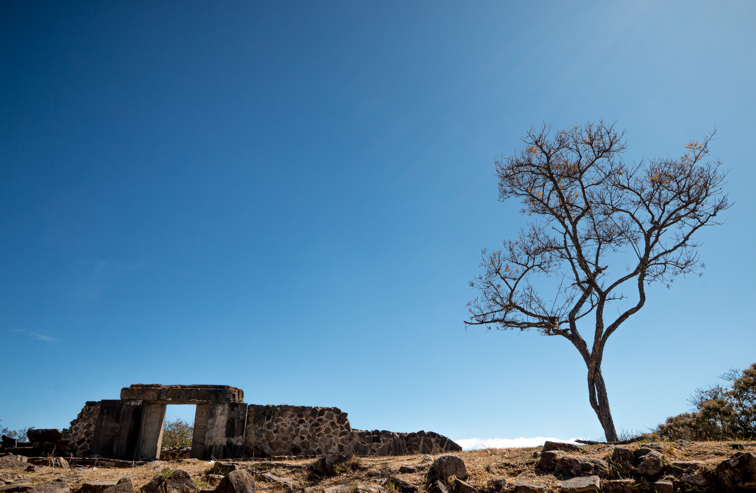 Desert Landscape Photo Print