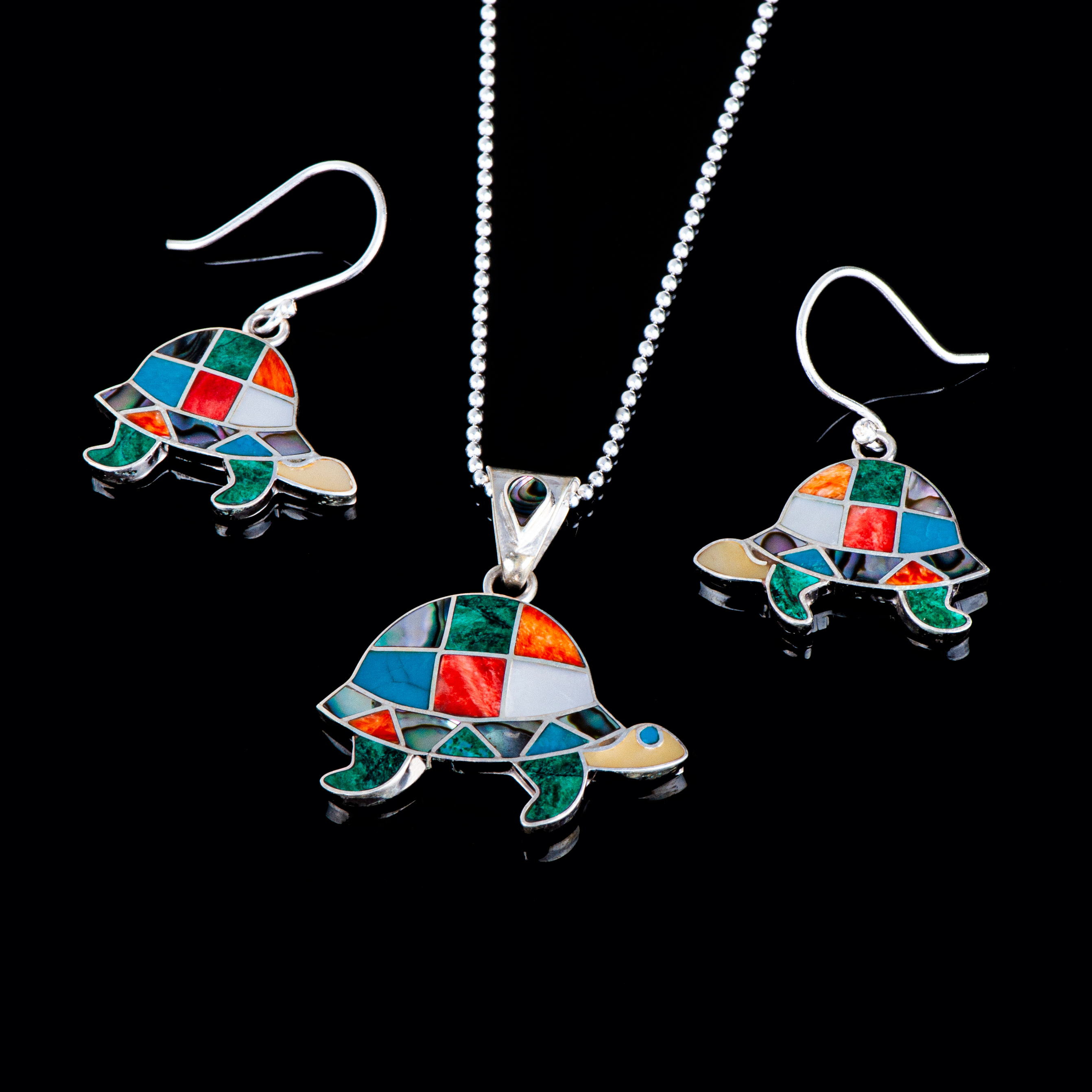 Conjunto tortuga multicolor