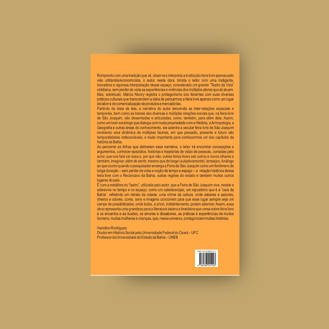 Metamorfoses à continuidade - Márcio Nicory Costa Souza(2020)