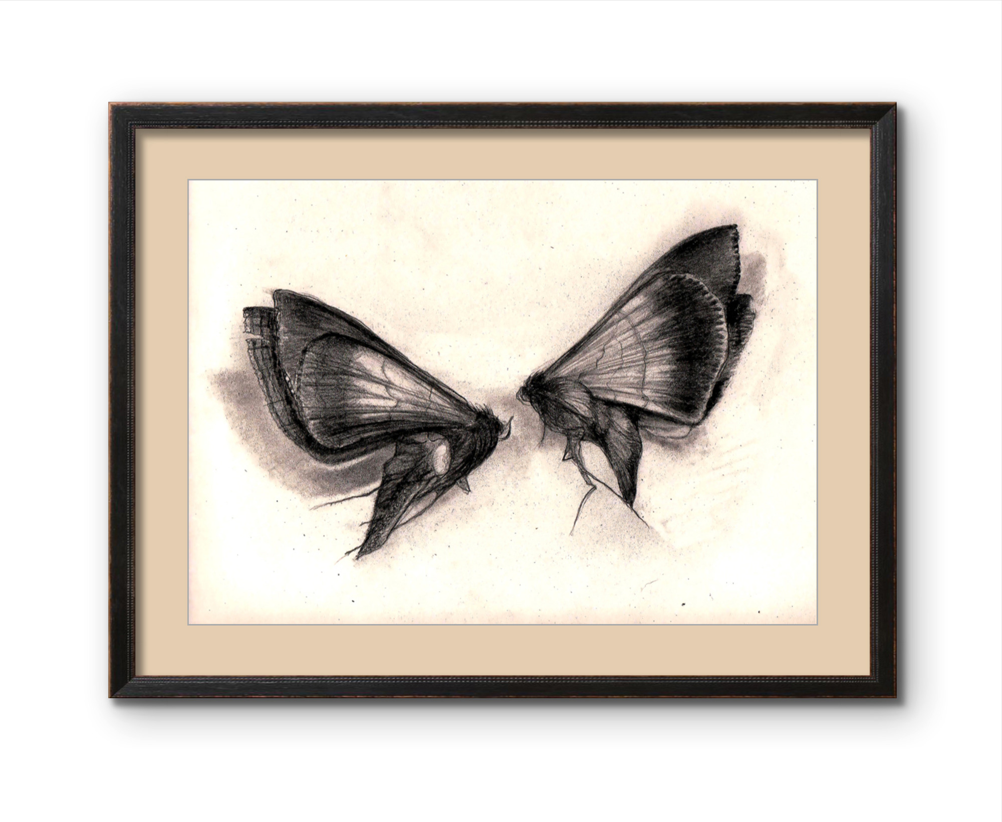 'Moon Dance' - Evocative Charcoal Drawing Moths Art Print