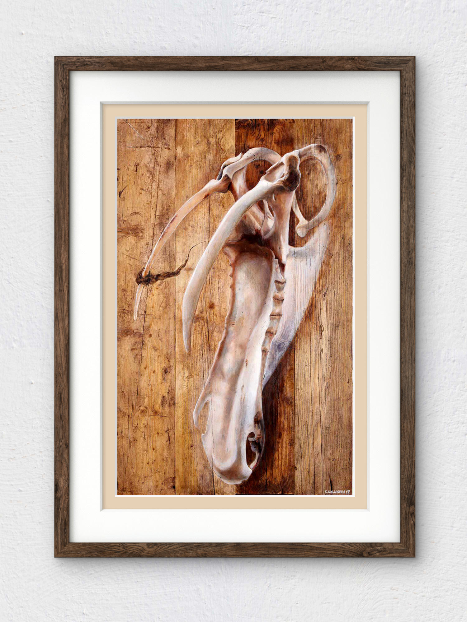'Flown' - Rustic Skeletal Seabird Art Print