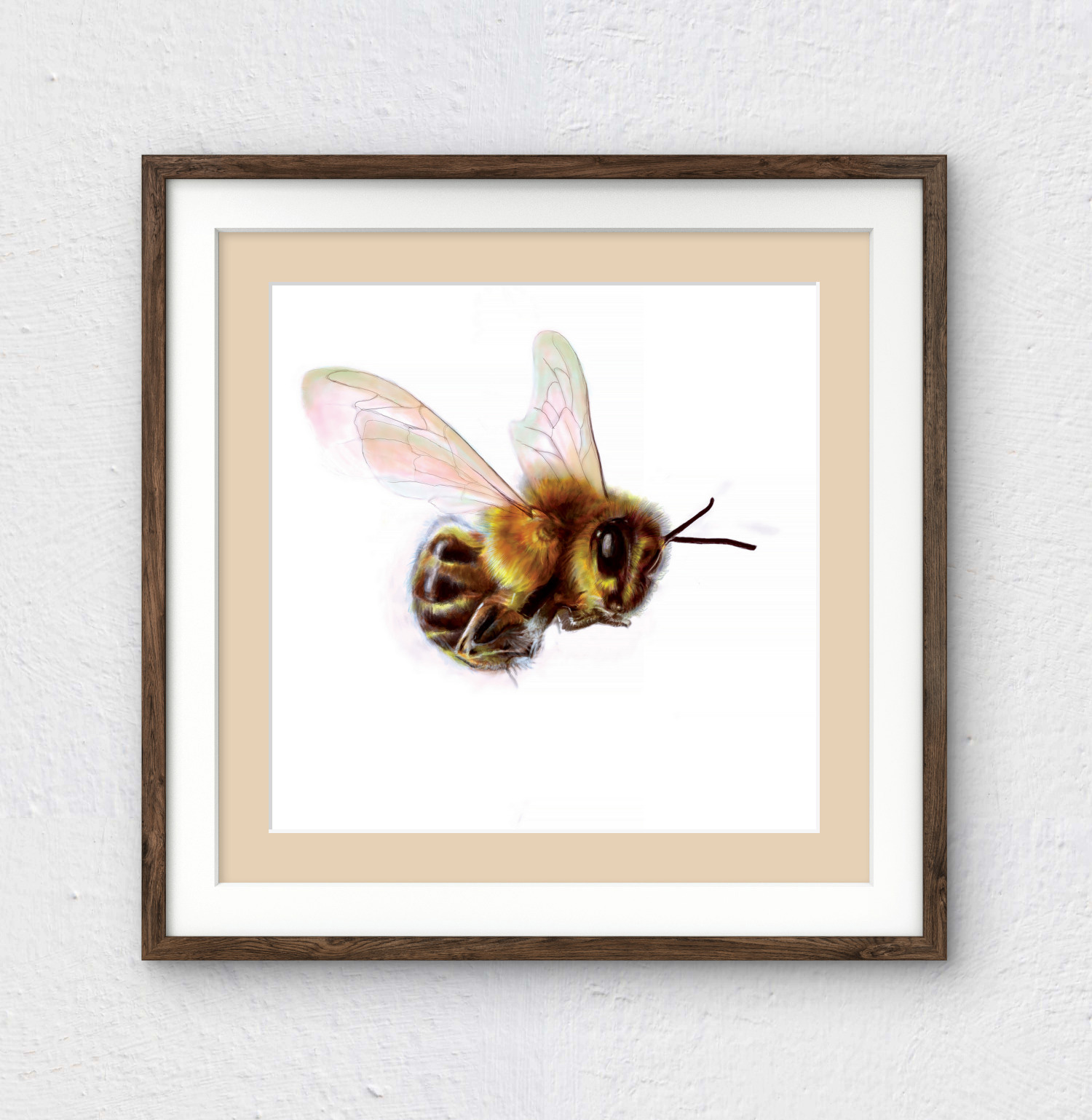 'Let's BEE friends' Super Cute Bee Specimen Art Print