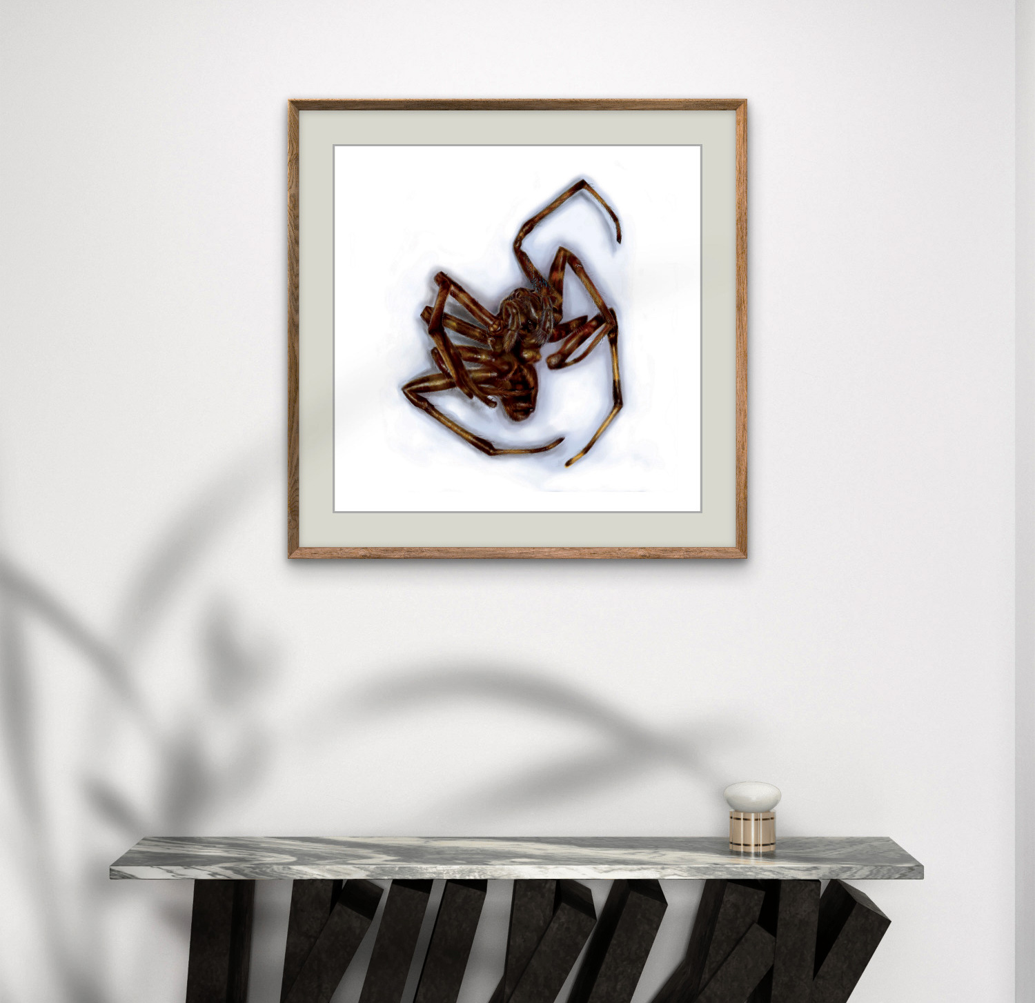 'Spindle' - Heartstopping Digital Drawing Spider Art Print