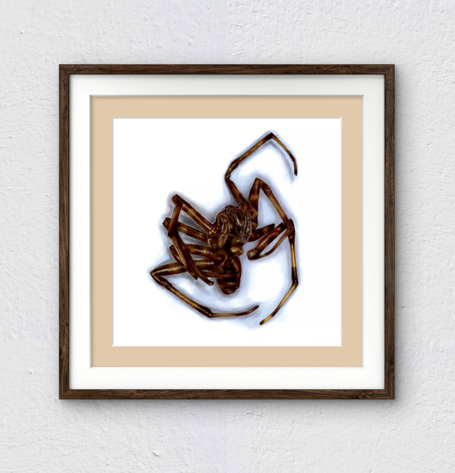 'Spindle' - Heartstopping Digital Drawing Spider Art Print