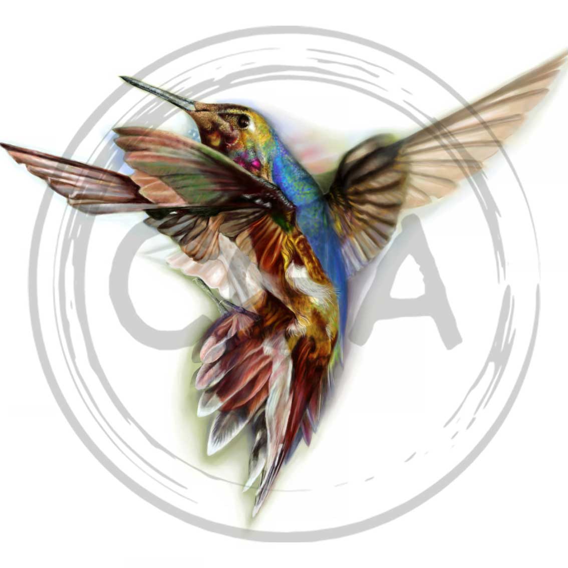 'Shimmers of Colour' - Majestic Shimmering Hummingbird in Flight Art Print